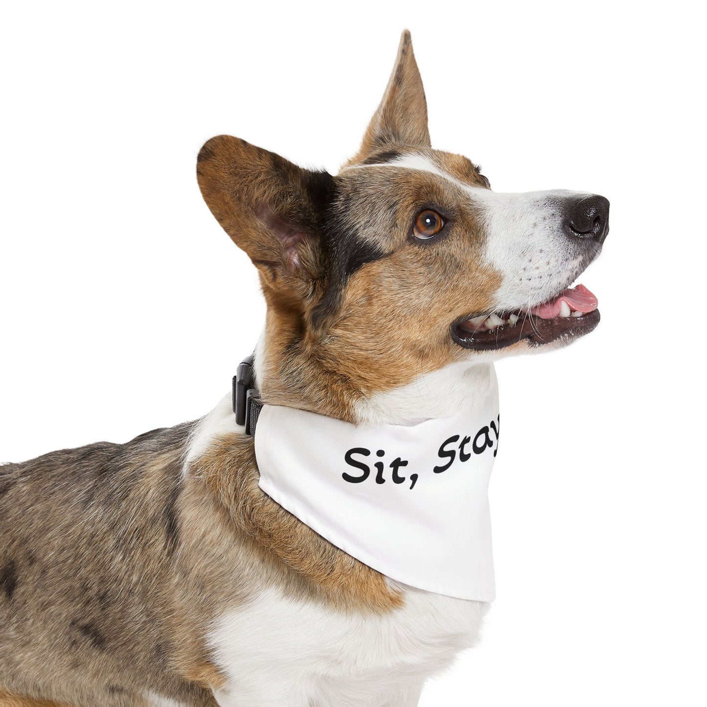Sit Stay Resist - Pet Bandana