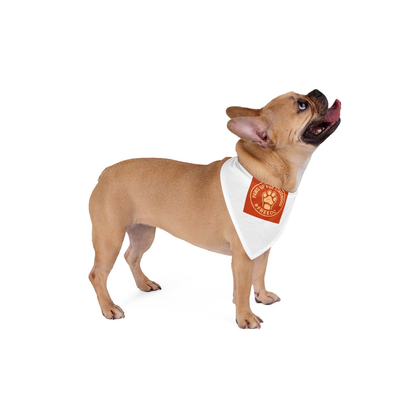Pet Bandana for Dogs, Cute Pet Accessory, Dog Collar Scarf, Dog Apparel for Celebrations, Fun Pet Gift