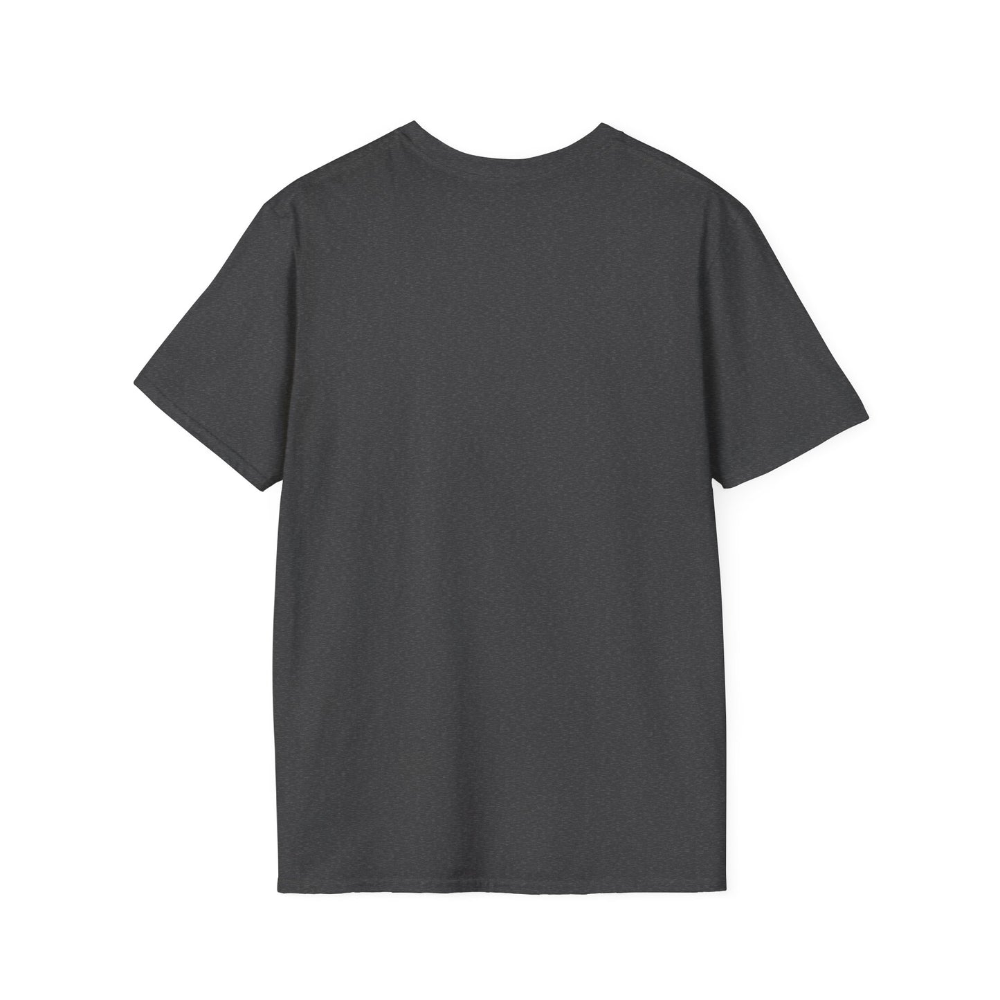 Public Defender T-Shirt: Advocate, Lawyer Gifts, Legal Humor, Courtroom Apparel, Fundraiser Tees