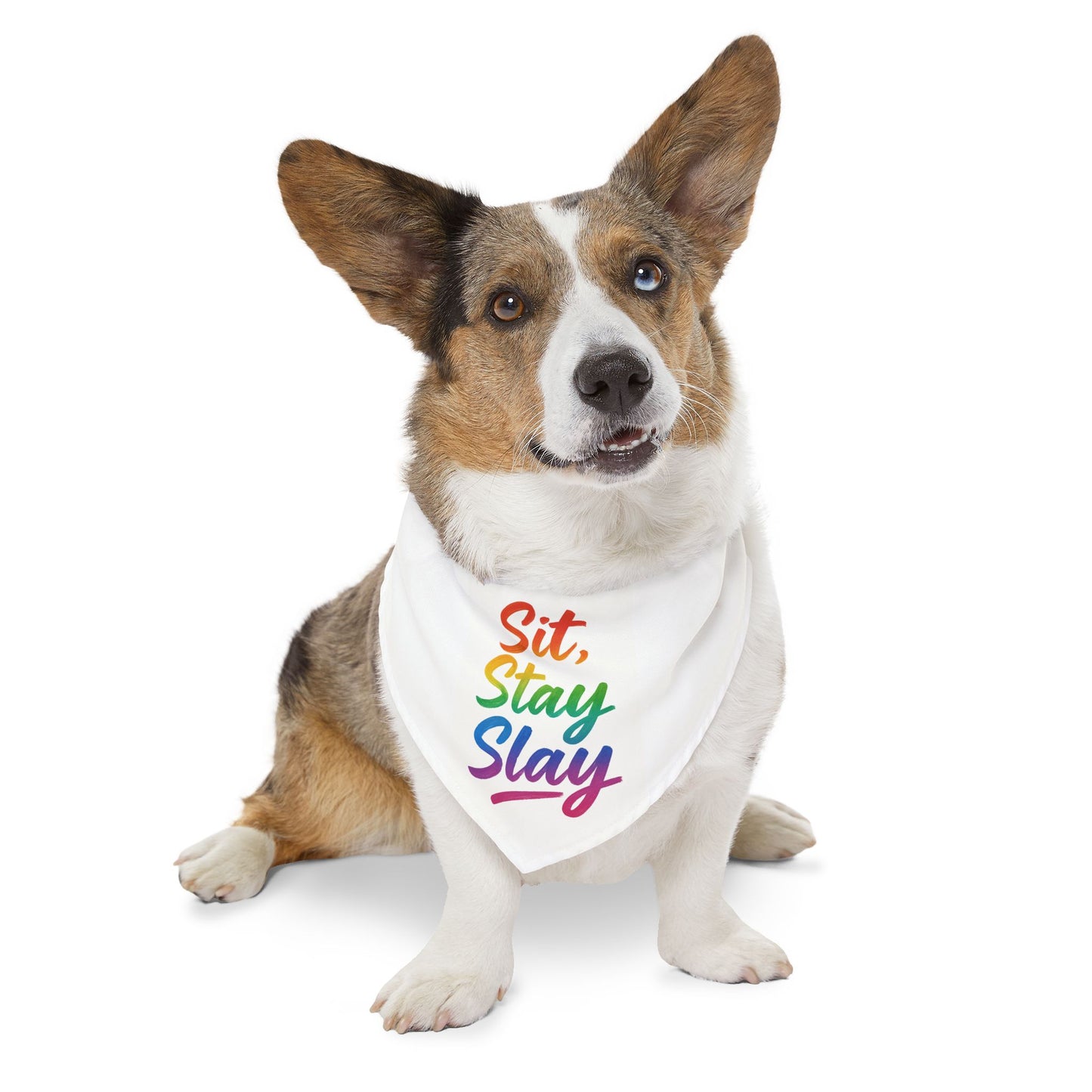 Rainbow Pet Bandana Collar, Fun Dog Accessory, Gift for Pet Lovers, Stylish Dog Bandana, LGBTQIA