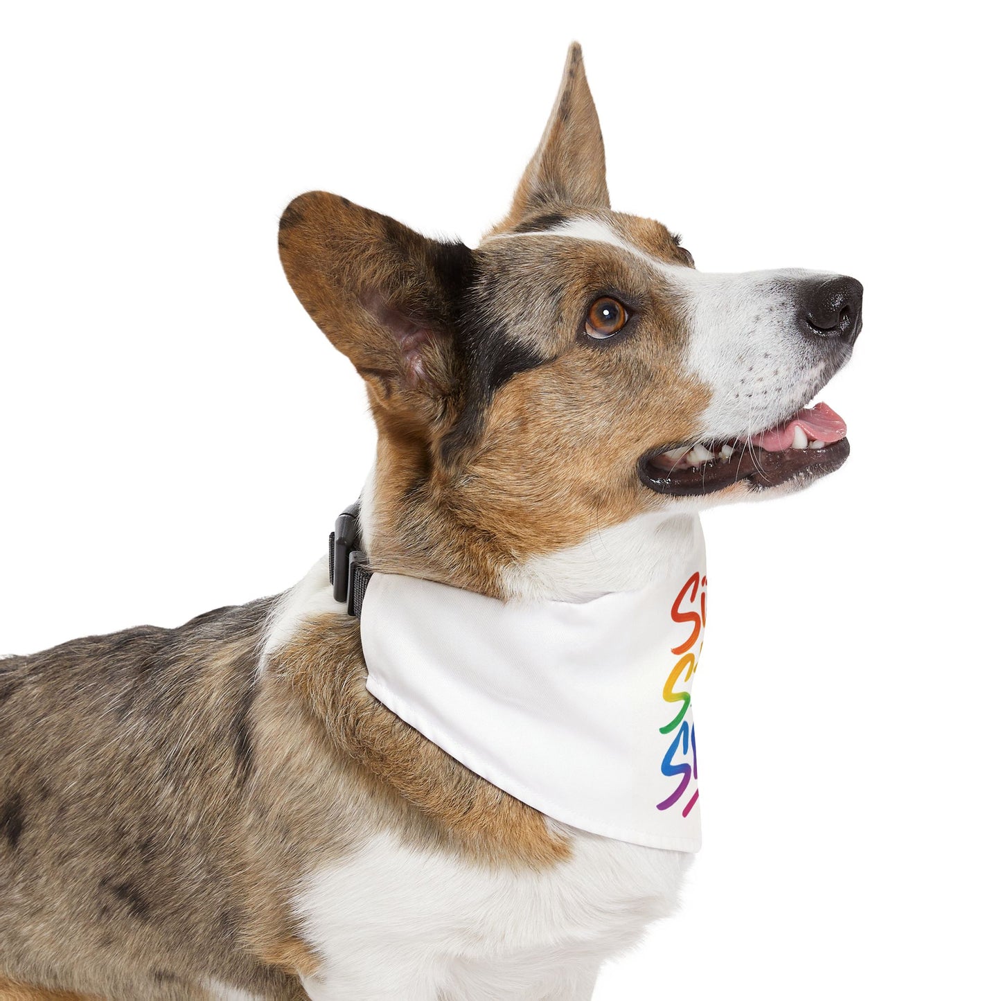 Rainbow Pet Bandana Collar, Fun Dog Accessory, Gift for Pet Lovers, Stylish Dog Bandana, LGBTQIA