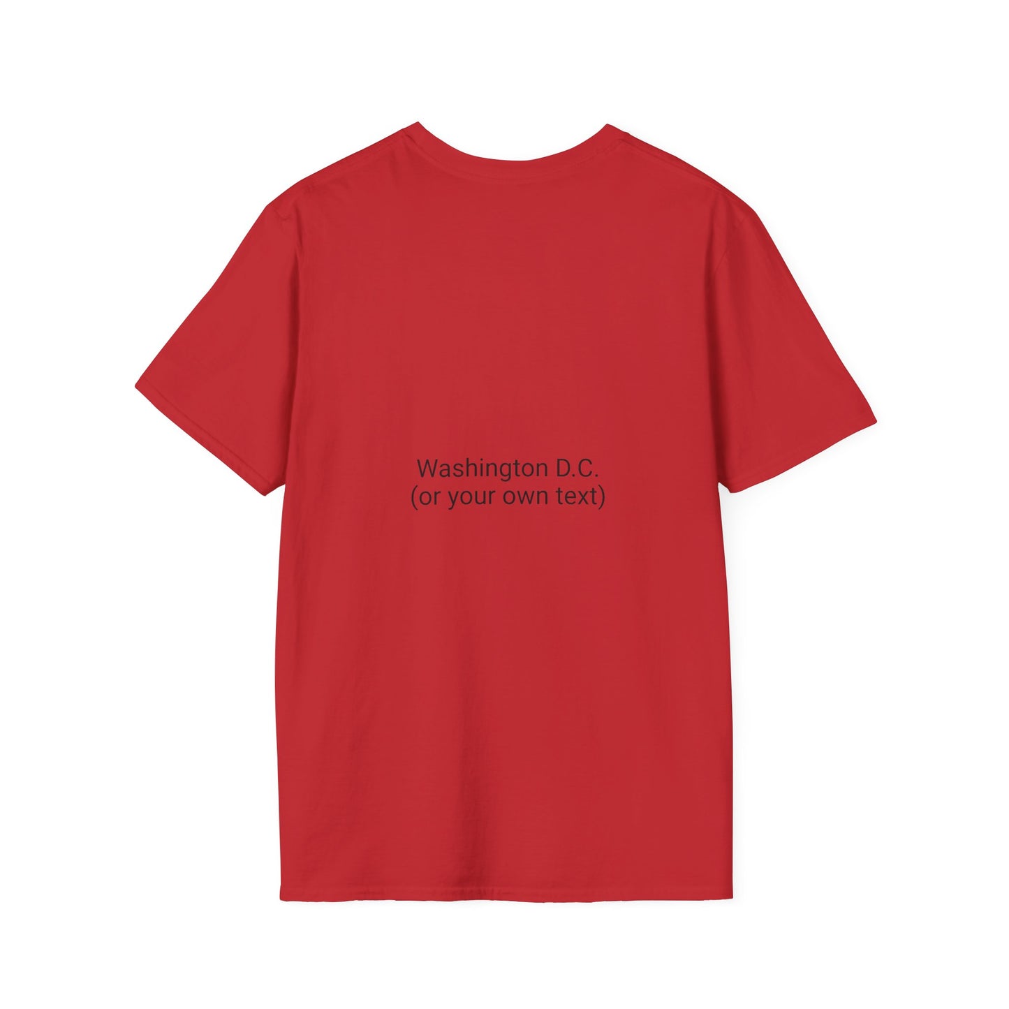 Taxed Enough to Resist T-Shirt, Unisex Tee, Washington D.C. Gift, Protest Apparel, Political Statement Shirt, Casual Wear