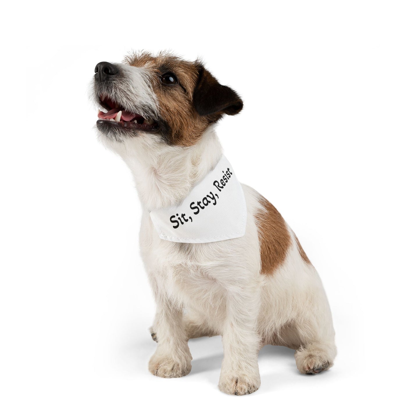 Sit Stay Resist - Pet Bandana