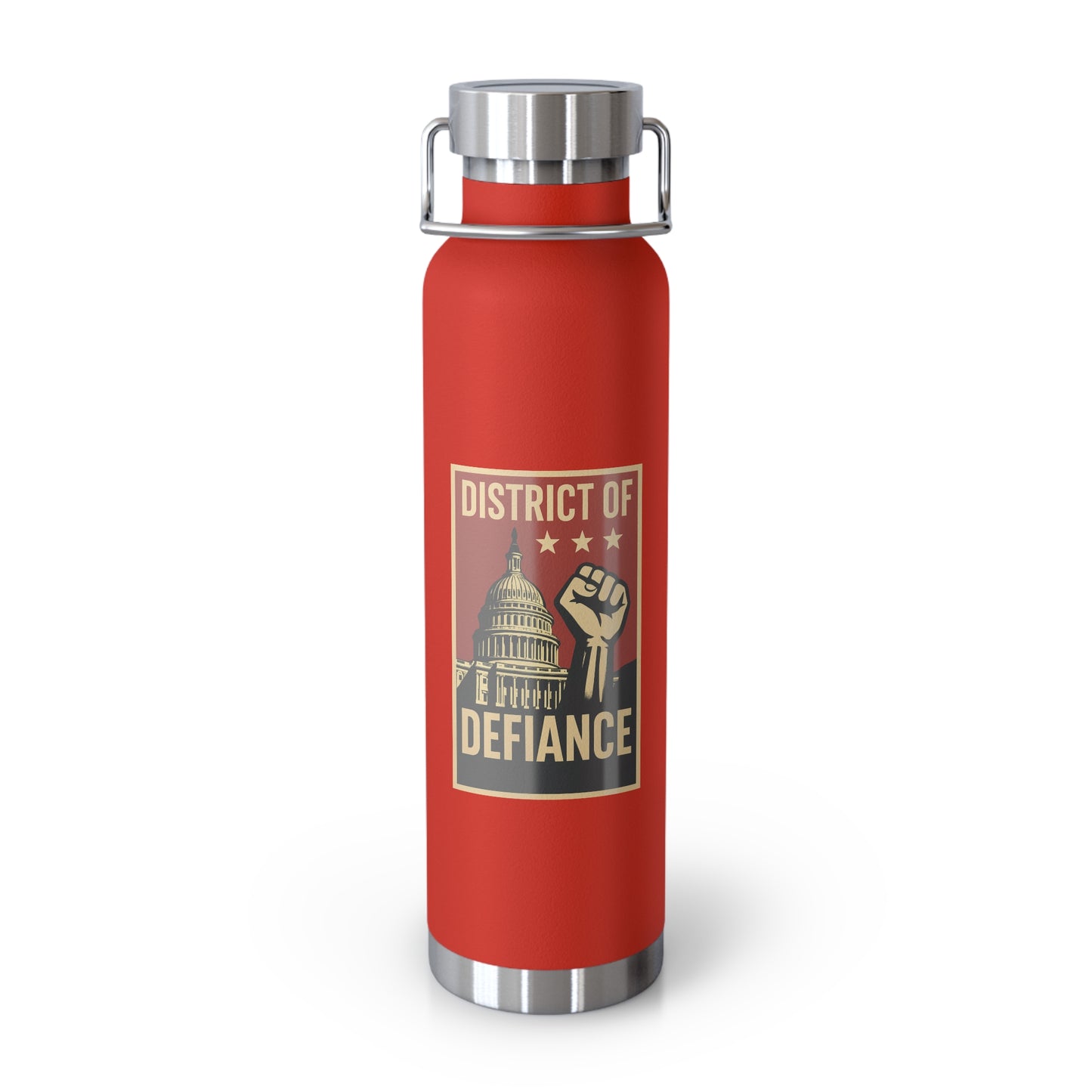 District of Defiance Water Bottle, Freedom Flask, Motivational Drinkware, Eco-Friendly Travel Bottle, Protest Inspired