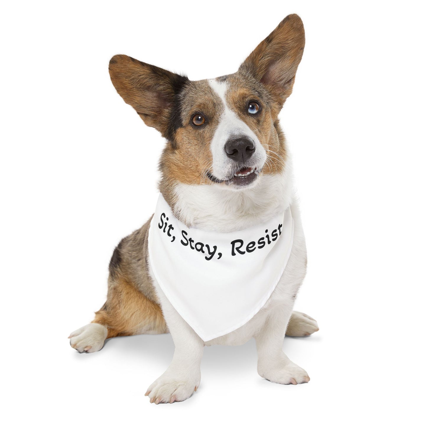 Sit Stay Resist - Pet Bandana