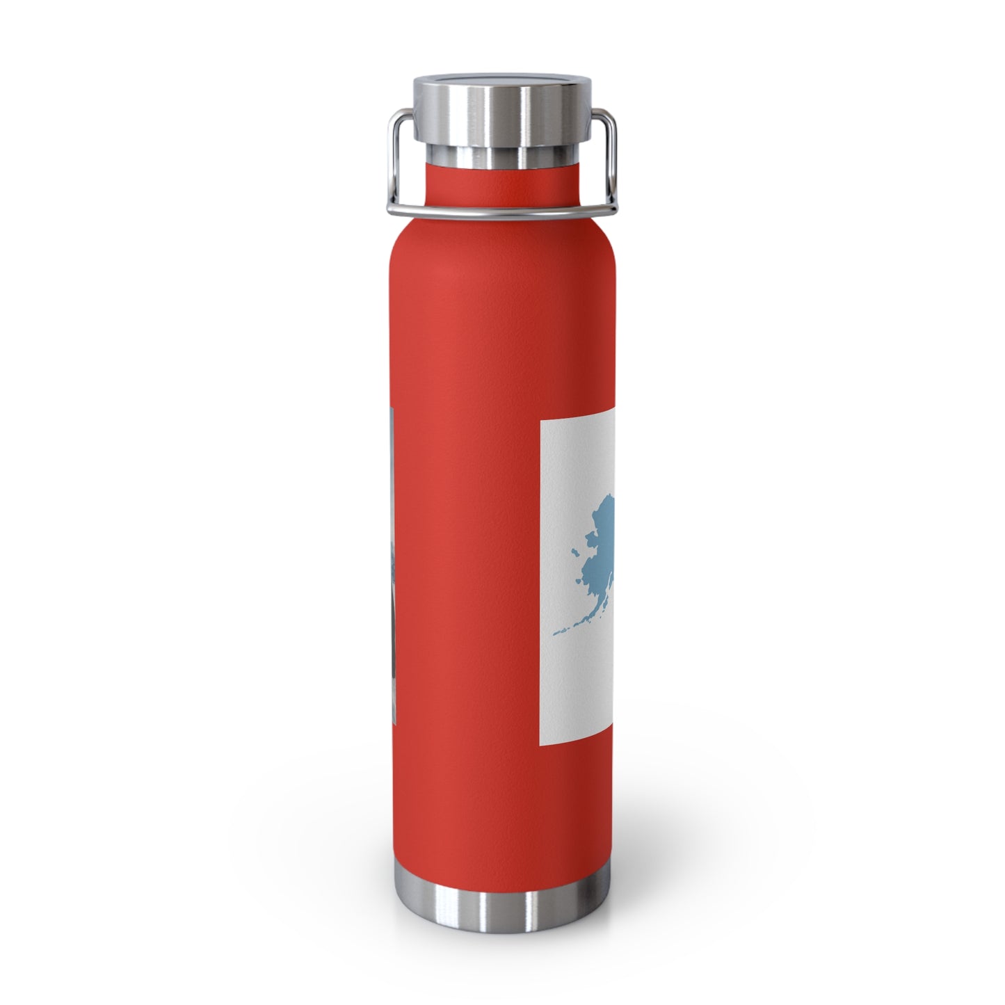 Alaska Defense Attorney Insulated Water Bottle, 22oz, Adventure Hydration, Eco-Friendly Travel Flask, Gifts for Nature Lovers, Motivational [...]