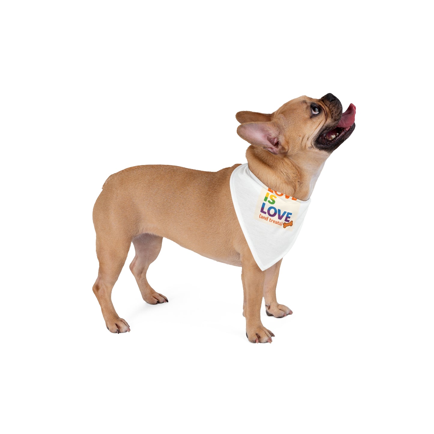 Rainbow Love Pet Bandana | Cute Dog Accessory, LGBTQ+ Pride, Summer Pet Fashion, Gift for Pet Lovers, Pet Parade