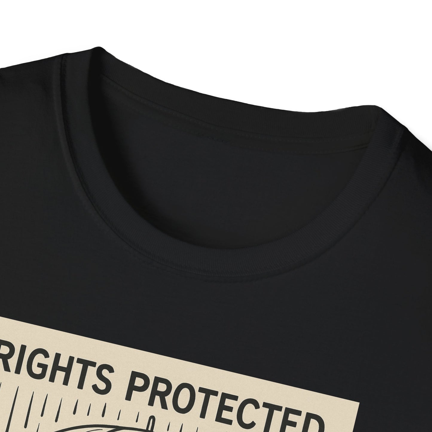 Washington Defense Attorney - Protection Rights T-Shirt, Unisex Fashion Tee, Gift for Activists, Statement Clothing, Rain or Shine Shirt