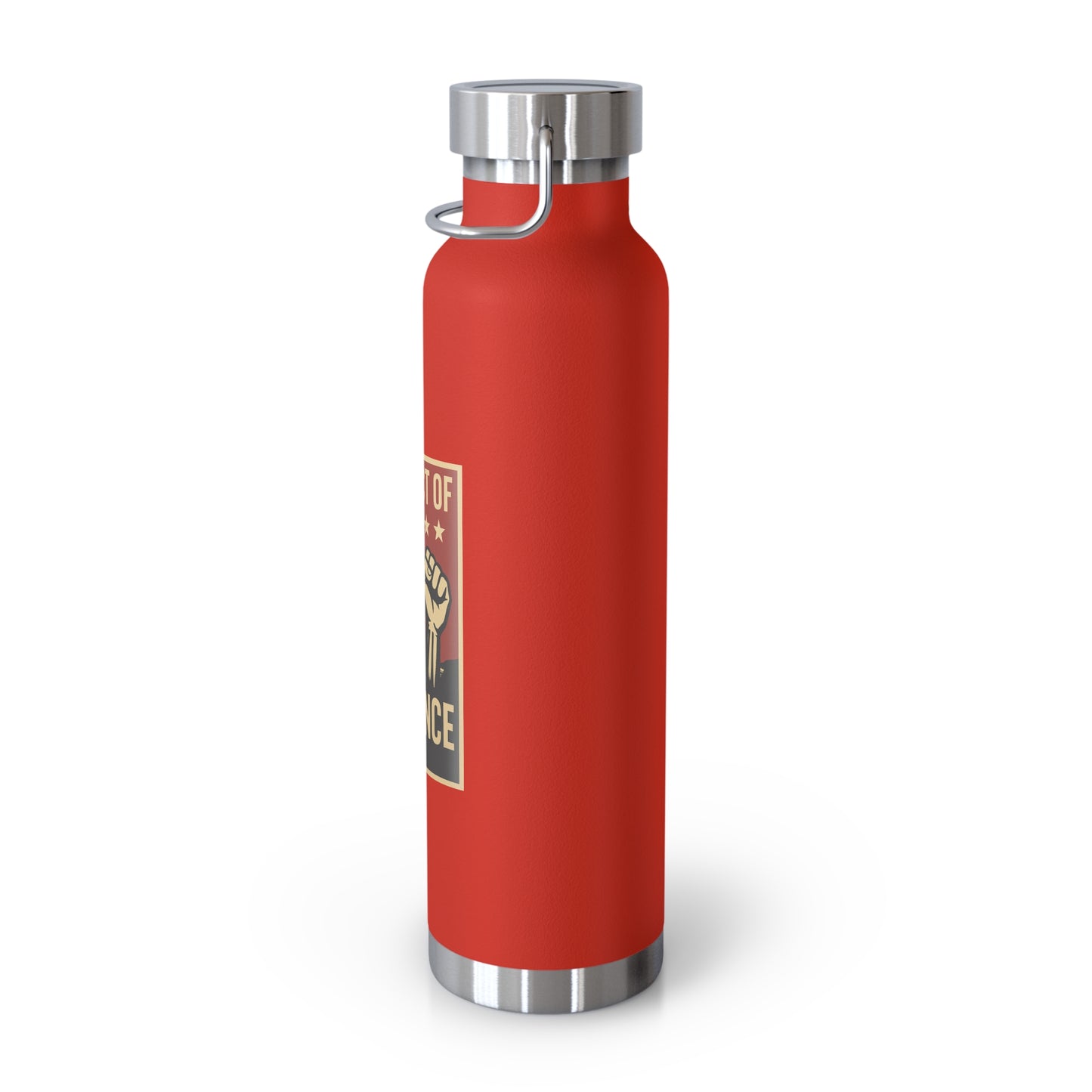 District of Defiance Water Bottle, Freedom Flask, Motivational Drinkware, Eco-Friendly Travel Bottle, Protest Inspired