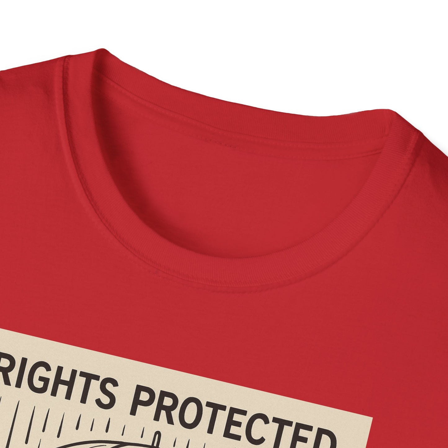Washington Defense Attorney - Protection Rights T-Shirt, Unisex Fashion Tee, Gift for Activists, Statement Clothing, Rain or Shine Shirt
