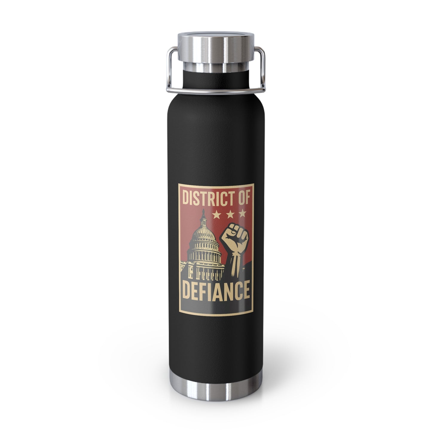 District of Defiance Water Bottle, Freedom Flask, Motivational Drinkware, Eco-Friendly Travel Bottle, Protest Inspired