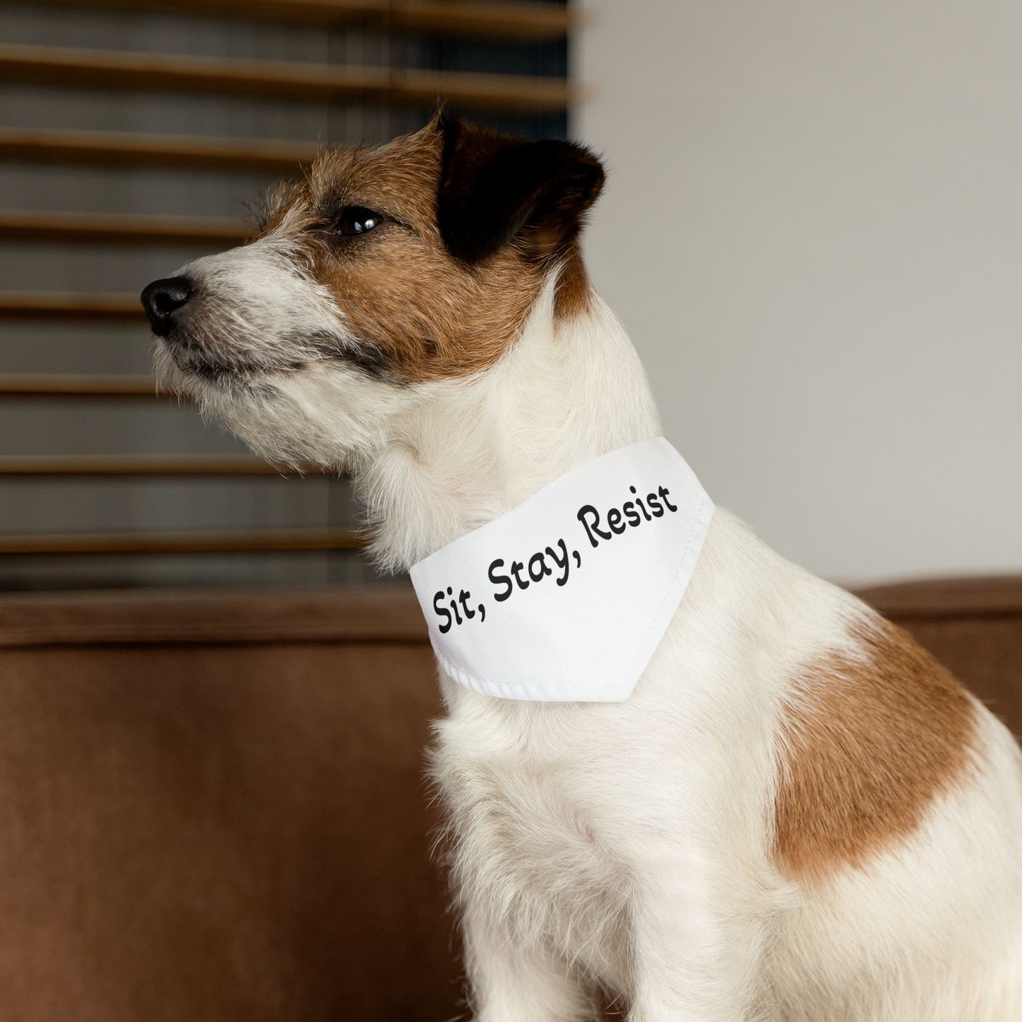Sit Stay Resist - Pet Bandana