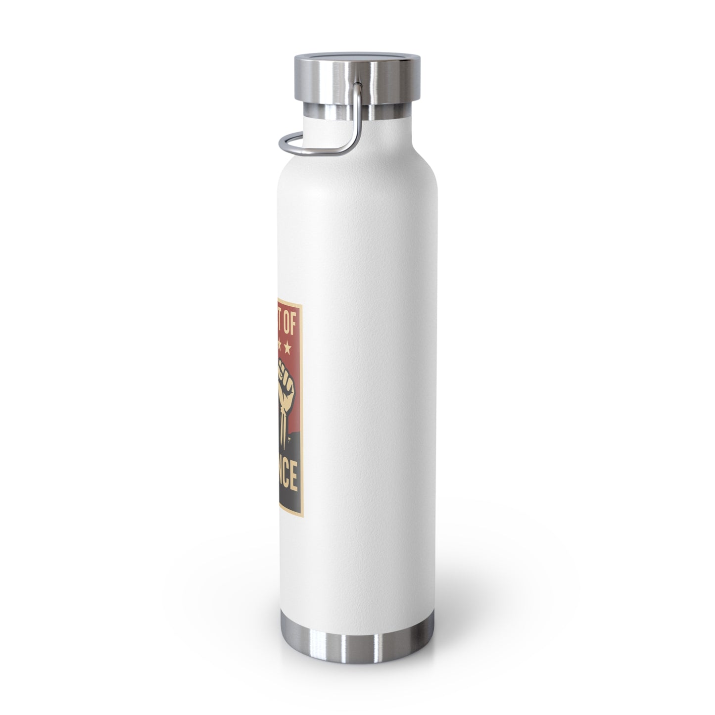 District of Defiance Water Bottle, Freedom Flask, Motivational Drinkware, Eco-Friendly Travel Bottle, Protest Inspired