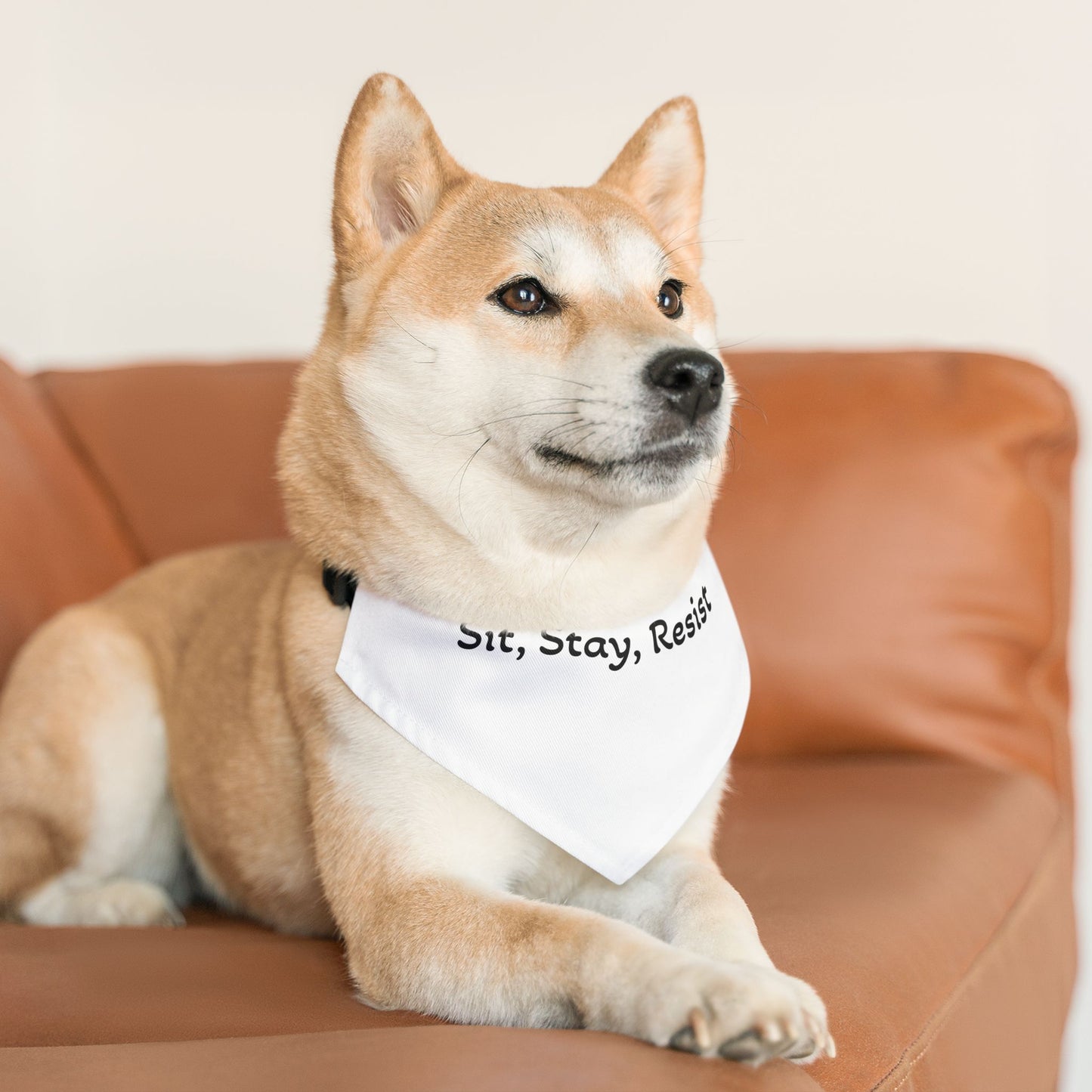 Sit Stay Resist - Pet Bandana