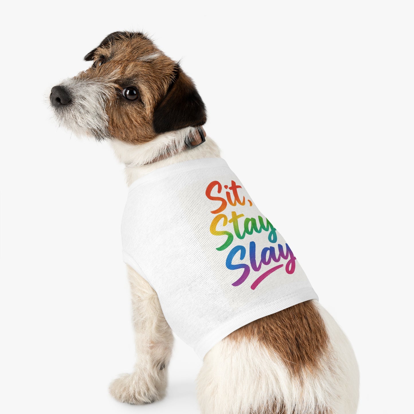 Rainbow Pet Tank Top: Dog Apparel, Cute Pet Outfit, LGBTQ+ Pride Pet Shirt, Fun Summer Wear, Gift for Pet Lovers