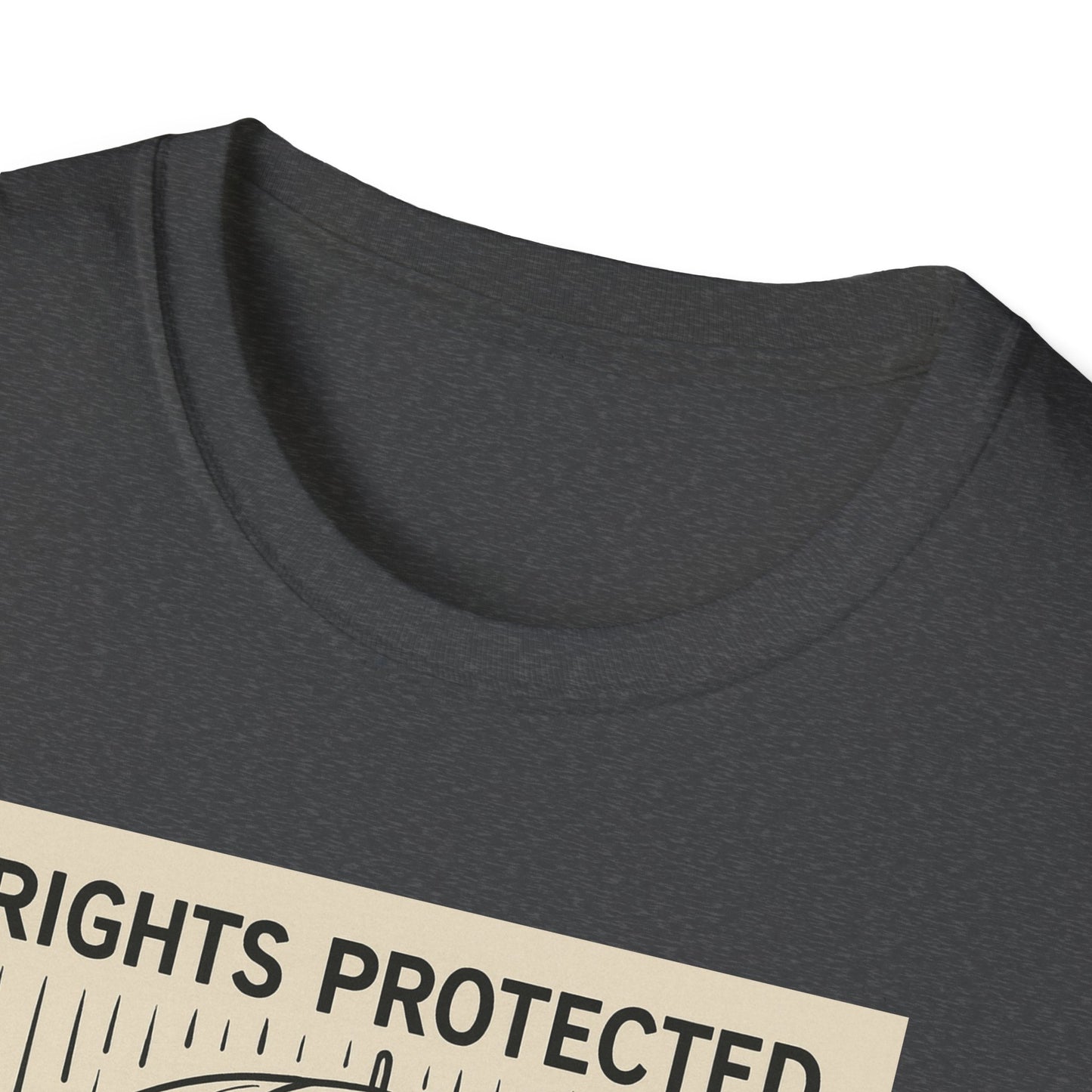 Washington Defense Attorney - Protection Rights T-Shirt, Unisex Fashion Tee, Gift for Activists, Statement Clothing, Rain or Shine Shirt